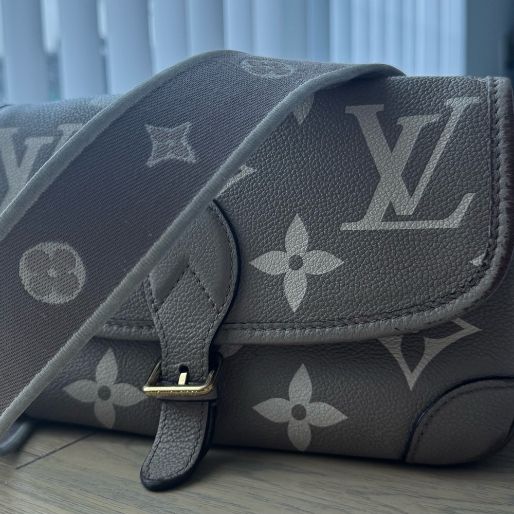 Louis Vuitton Diane Crossbody Bag - Picture 6 of 10